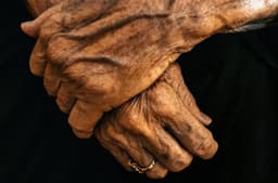 A Common Vitamin was Linked to Healthier Brain Networks in More Than 2,000 Older Adults