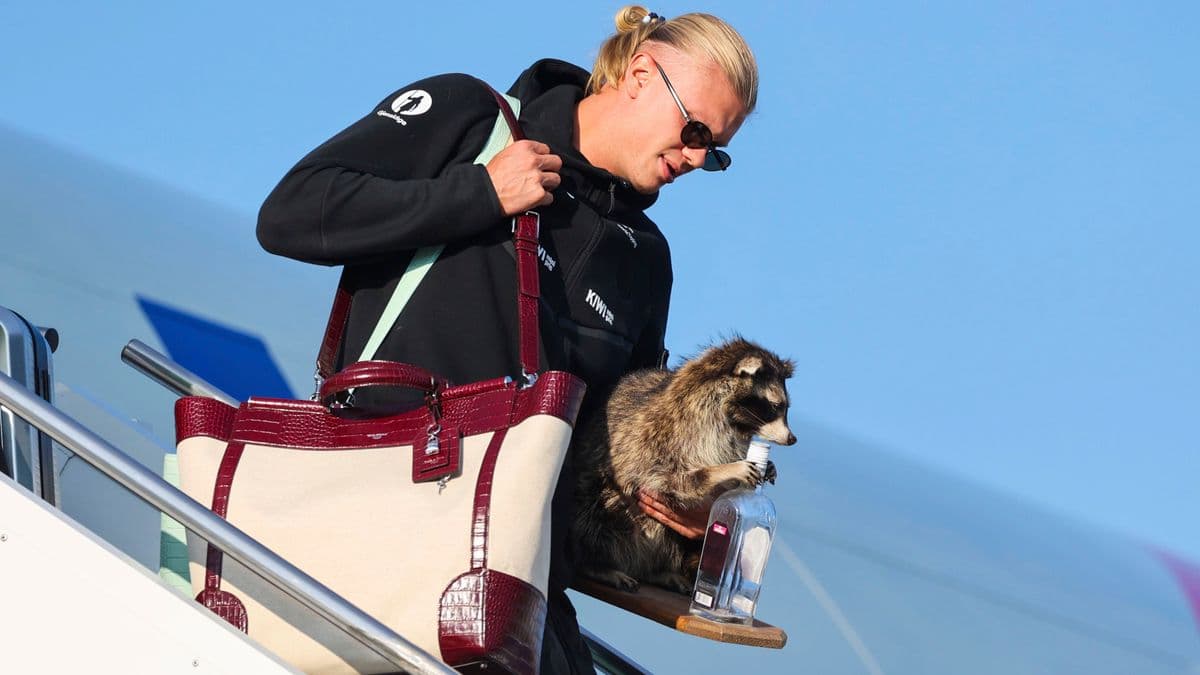 Hermès, Chanel, Prada: Fußballstars Erling Haaland und ...