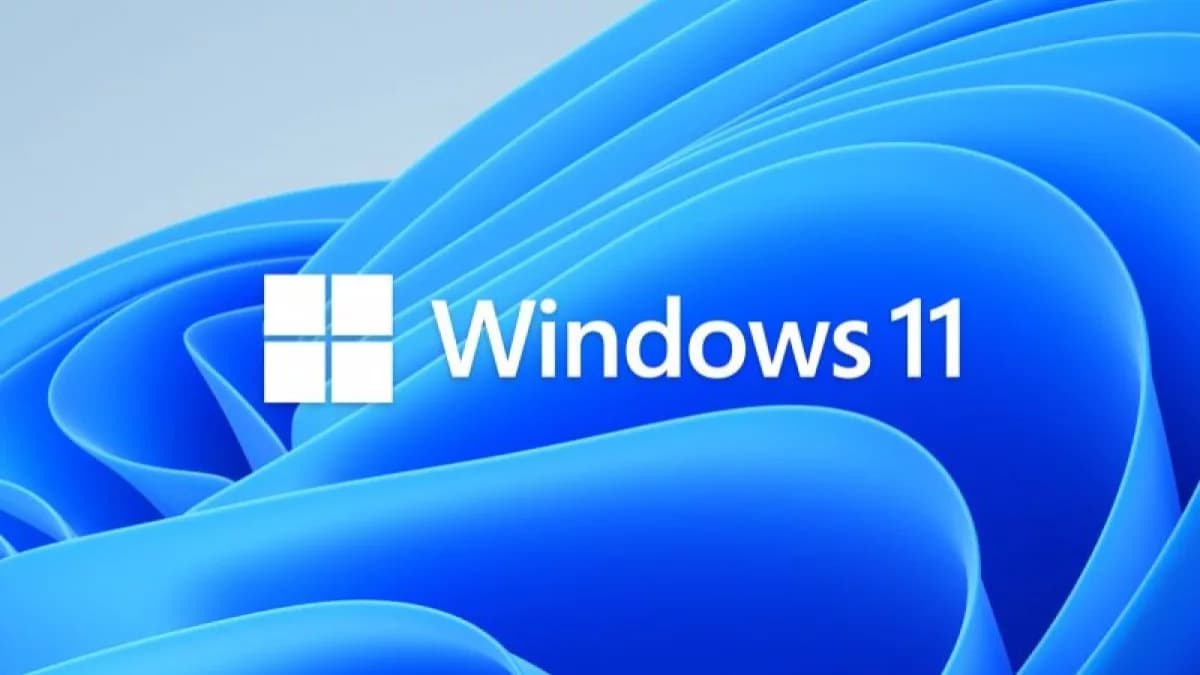 Microsoft Is Finally Looking Into the August Windows ...