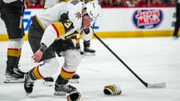 McNabb's Injury a Problem for Golden Knights Defense
