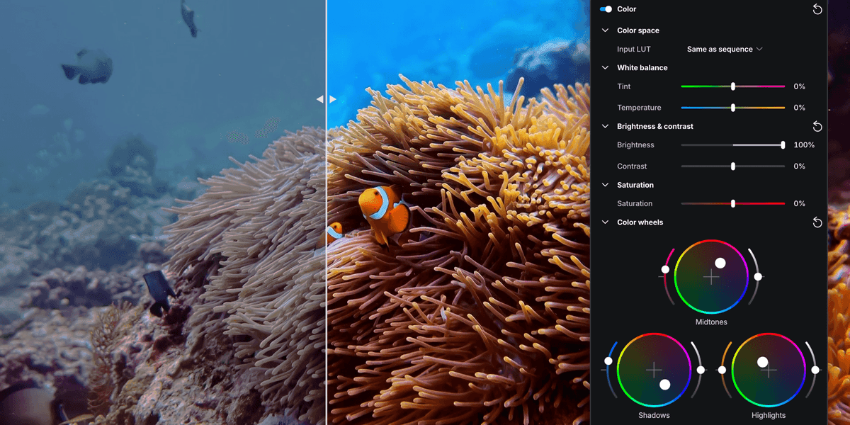 elevate.io’s Browser-Based Video Editing Platform Gets New Color Wheels and LUT Features