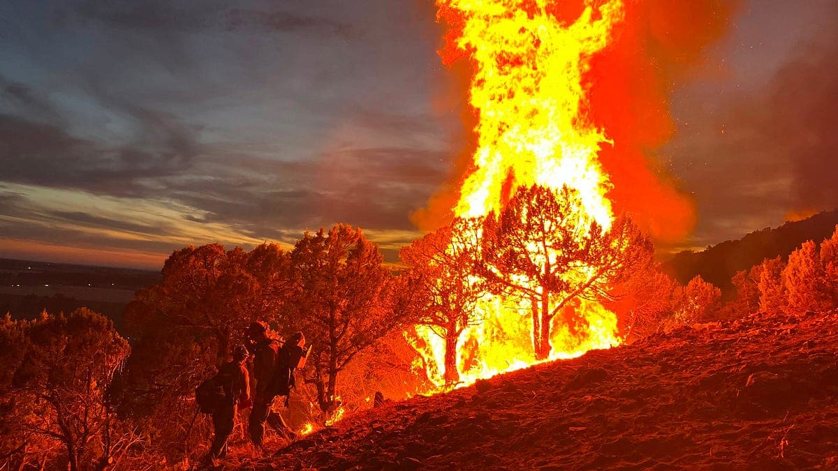 Big Move: Forest Service Consolidates National Wildfire And Aviation Authorities Under Its Deputy Chief For Fire And Aviation Management.