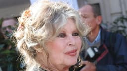 Brigitte Bardot Hospitalization and Rumors