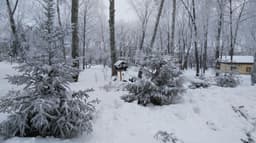 Major Snowstorm Threatens New York