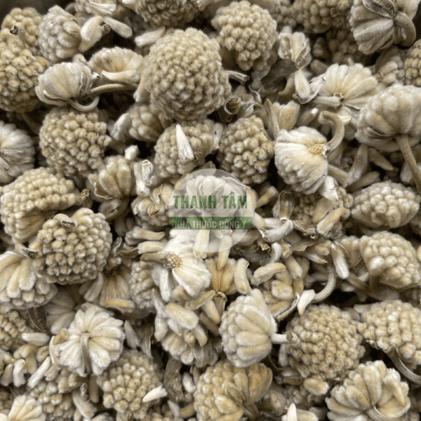 Buddleja Flower | Traditional Herbal Medicines | Thanh Tam Herbs