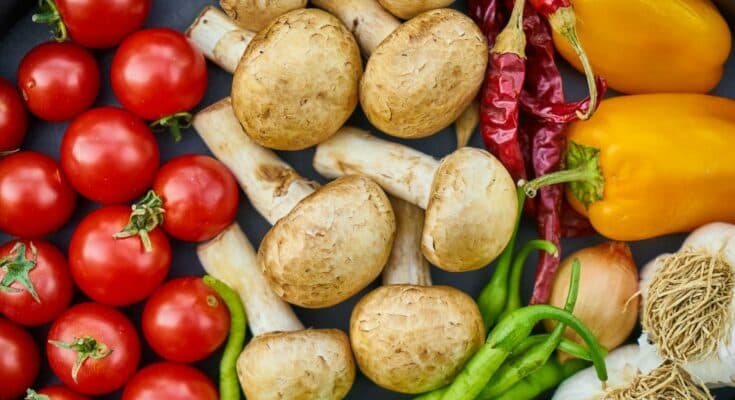 $135M Federal Push Targets Rural Care and Nutrition Gaps - MyChesCo