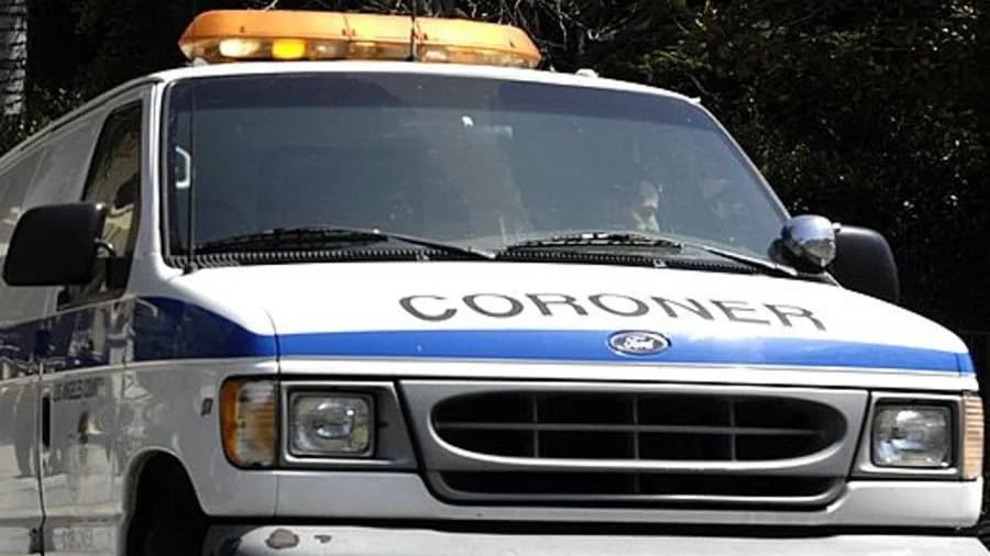 2 found dead in overnight commercial building fire ...