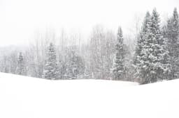 Severe Snowstorms Disrupt Northeast Travel