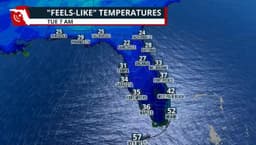 Florida Faces Unseasonal Arctic Blast
