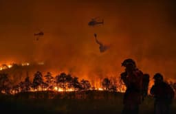 Efforts Intensify to Combat Pack Fire