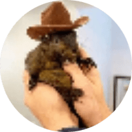 APEMARS: Potential in Top Meme Coins 2026 | Intellectia.AI