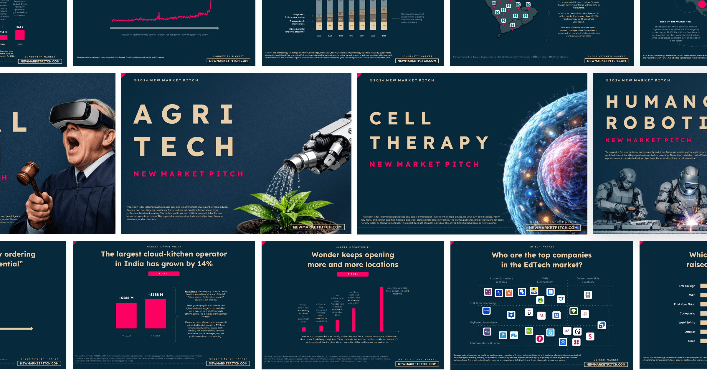 Neurotechnology Market Report | 2026 | 350+ Data - New Market Pitch