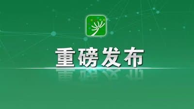 权威发布19项指标!“十五五”时期,医疗健康领域迎来大调整