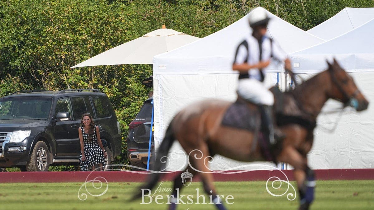Harry & William at Contrasting Events, Followed by the Sussexes Visit to Highgrove